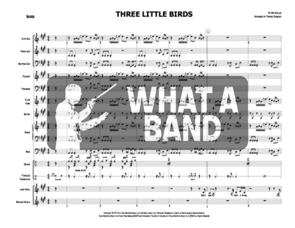 Three Little Birds - Bob Marley - Image 2